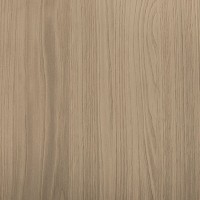 CHÂTAIGNIER SABLÉ image